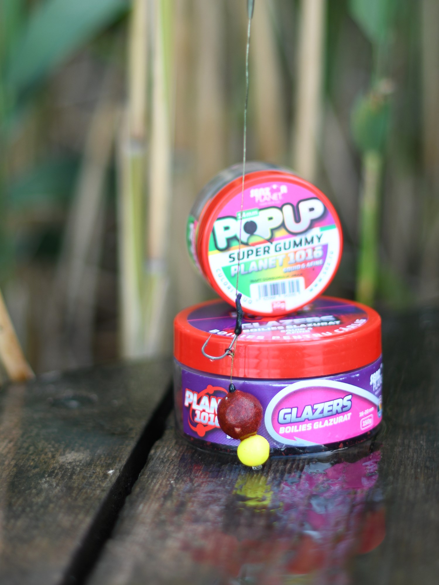 Tancabesti 29 mai - 2 iun. - DSC9653.jpg